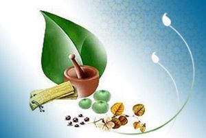 عادات بد غذایی از نگاه امام رضا (ع)