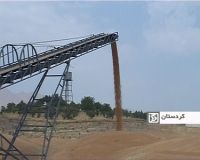 تولید بیش از 106 هزار تن گندم در شهرستان قروه
