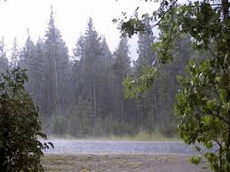 خراسان جنوبی ، چهارمین استان کم باران