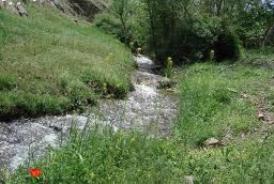 فردوسی در دل کویر قم