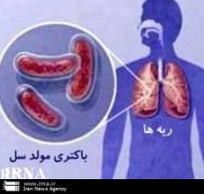 برای سومین سال متوالی: کسب رتبه اول کشوری کنترل کیفی خارجی توسط آزمایشگاه مرجع منطقه ای سل جنوب شرق