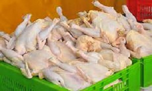 قیمت انواع گوشت و مرغ +جدول