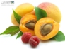 هلو میوه ای تاثیرگذار در برطرف شدن کم آبی در بدن