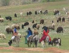 خراسان جنوبی چهارمین استان عشایری کشور