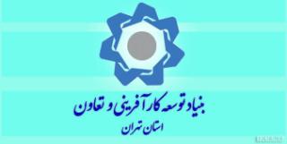 افتتاحیه نمایشگاه توانمندی‌های بنیاد توسعه کارآفرینی و تعاون استان تهران در بهارستان
