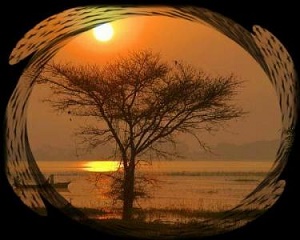پنج کار را انجام بده، بعد هر گناهی می خواهی بکن!
