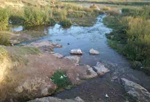 چشمه ای فوق العاده در روستای کیسه + تصاویر