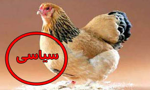 "مرغ" سیاسی شد!