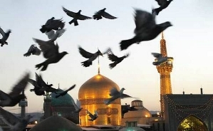 پنج داستان ارزشمند و آموزنده از امام رضا(ع)