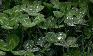آبگرفتگی معابر و سیلابی شدن رودخانه‌ها در استان‌های واقع در دامنه‌های زاگرس/ افزایش ابر و وزش باد در تهران