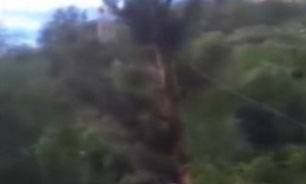درختی که هنگام سقوط جان مردی را گرفت + فیلم