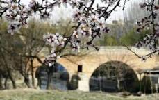 اجرای طرح جامع گردشگری استان چهارمحال و بختیاری تا پایان سال 96