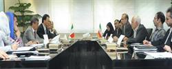 افخمی‌راد: ایتالیا جایگاه پیشین خود در ایران را پیدا کند/ صنایع خودروسازی آماده سرمایه‌گذاری ایتالیایی‌ها
