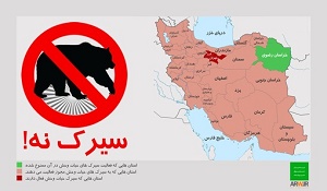 نخستین استان بدون حیوان آزاری