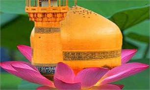 پوشش گسترده تصویری مراسم ورود کاروان نمادین امام رضا(ع)به ایران از شبکه های تلویزیونی