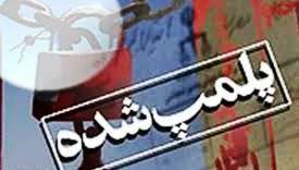 پلمپ دو واحد غیر مجاز آلاینده در شهرستان پیشوا استان تهران