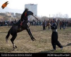 جشنواره اسب كردي در شهرستان بيجاربرگزارمی شود.