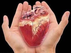 اهدا عضو به 6 بيمار نيازمند در مشهد