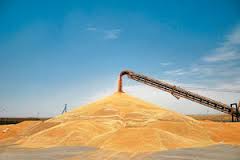 ذخیره سازی بیش از 5 هزار تن گندم در شهرستان نمین