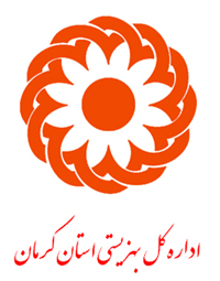 استقرار طرح مدیریت سبز در بهزیستی کرمان