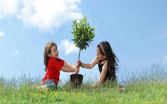 کم آبی ریشه درختان اصفهان را سست کرده است.
