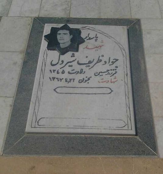 عکس/ جواد ظریف شیردل