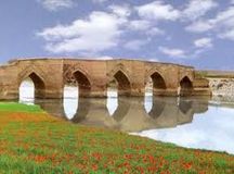 ساحل‌ رودخانه زرینه رود شاهین دژ توسط دوستداران طبیعت پاکسازی شد
.
