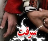 کاهش 13 درصدی سرقت در آذربایجان غربی