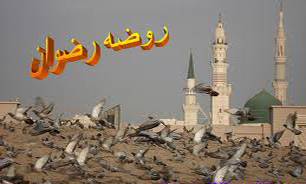 "روضه رضوان" در هفته حج به شبكه دو می‌آید