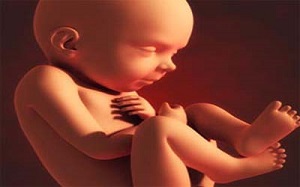 این حالت شایع در بارداری نشانه هوش بالای جنین است!