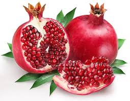 اغازبرداشت انار در خاش
