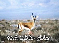 تخریب ساختمان غیرقانونی در منطقه حفاظت شده استان چهارمحال و بختیاری