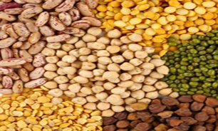 واردات غلات افزایش یافت