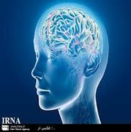 دو هزار بیمار ام اسی در استان وجود دارد