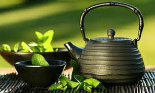 تولید چای در سال جاری به 13 هزار تن رسید