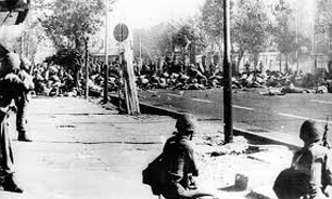 شاهد عینی در شبکه تهران