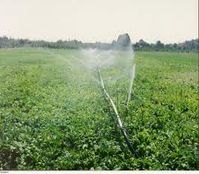 11 هکتار از اراضی کشاورزی خوی تحت آبیاری قطره‌ای قرار دارد