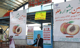 ضرورت توسعه صنایع تبدیلی و تکمیلی برای سودآوری باغات هلو