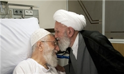 آیت‌الله ناصری دولت آبادی از رهبر معظم انقلاب عیادت کرد
