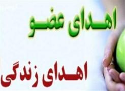 اهدای اعضای دو بیمار مرگ مغزی در استان چهارمحال و بختیاری
