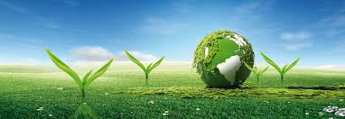راه اندازی آمبولانس حیات وحش در استان برای اولین بار