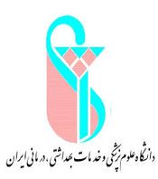 نهادینه‌سازی توریسم‌درمانی در آذربایجان غربی نیازمند عزم جدی