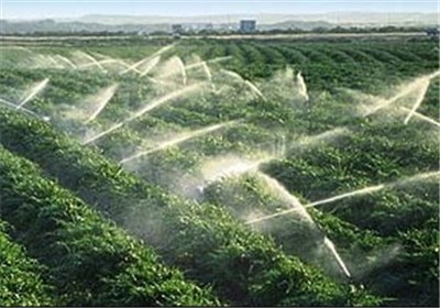خسارت ۳ هزار میلیاردی سرمازدگی کشاورزان مرندی پرداخت نشد