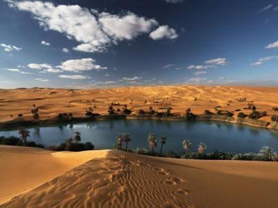 پیدایش بهشتي در جهنم + تصاویر