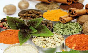 دانش طب سنتی از نقل سینه به سینه به صورت آکادمیک تغییر کند