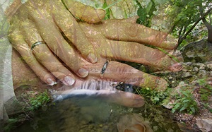ازدواج در بهشت