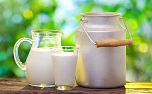 با خیال راحت لبنیات مصرف کنید