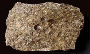 عرضه سنگ آهن، مقاطع فولادی و شمش آلومینیومی