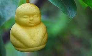ابتکار جدید و جالب چینی ها!+ عکس