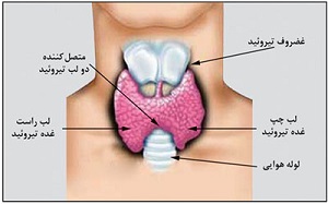 این علامت نشان دهنده تیروئید است